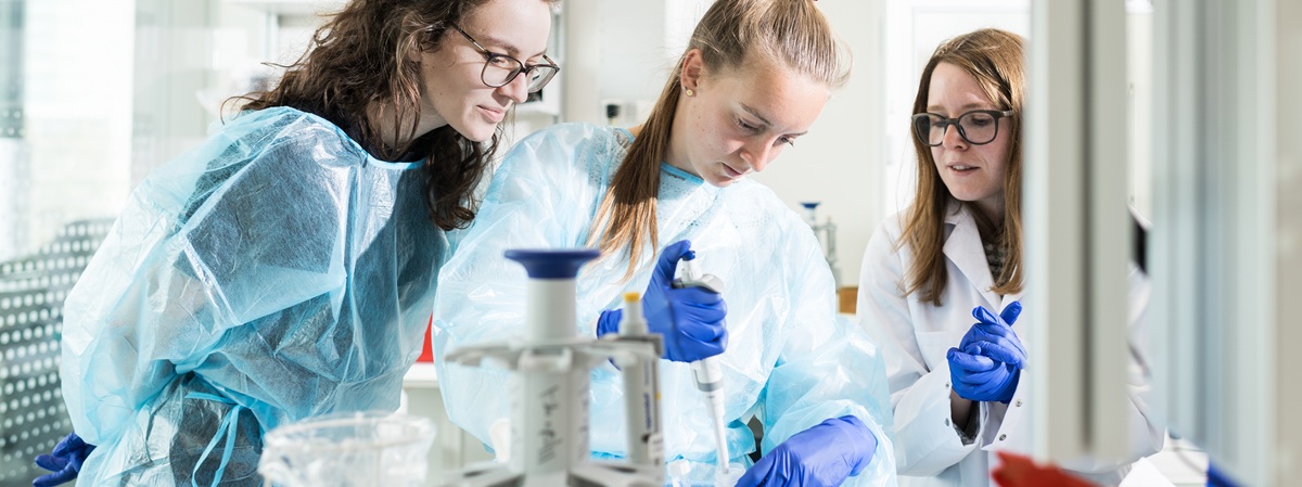 Titleimage: Master in BMS